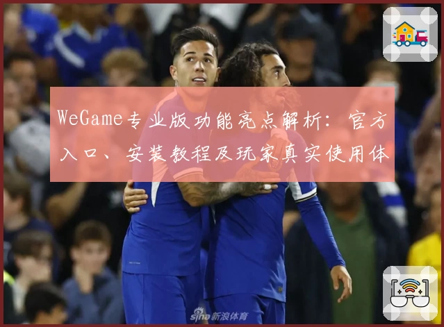WeGame专业版功能亮点解析：官方入口、安装教程及玩家真实使用体验分享
