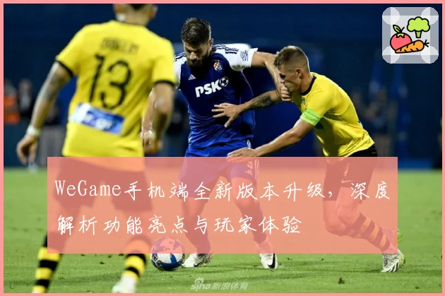 WeGame手机端全新版本升级,深度解析功能亮点与玩家体验
